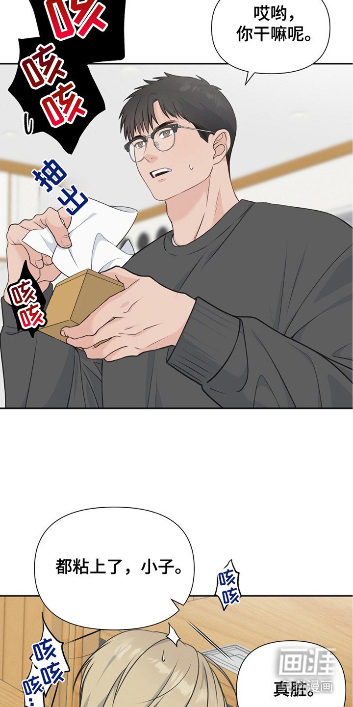 第8章：理想型