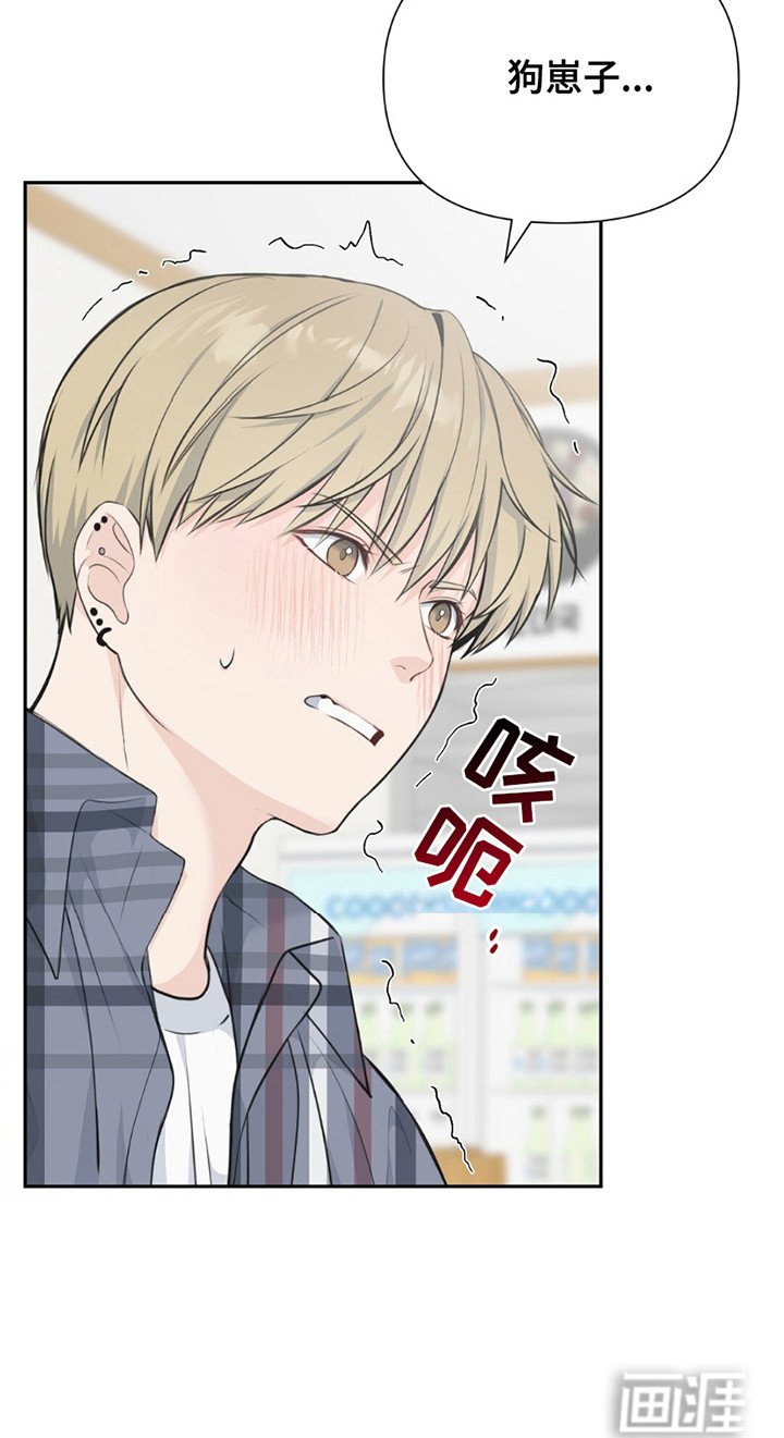 第8章：理想型