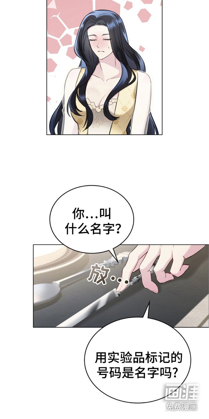 第13章：名字