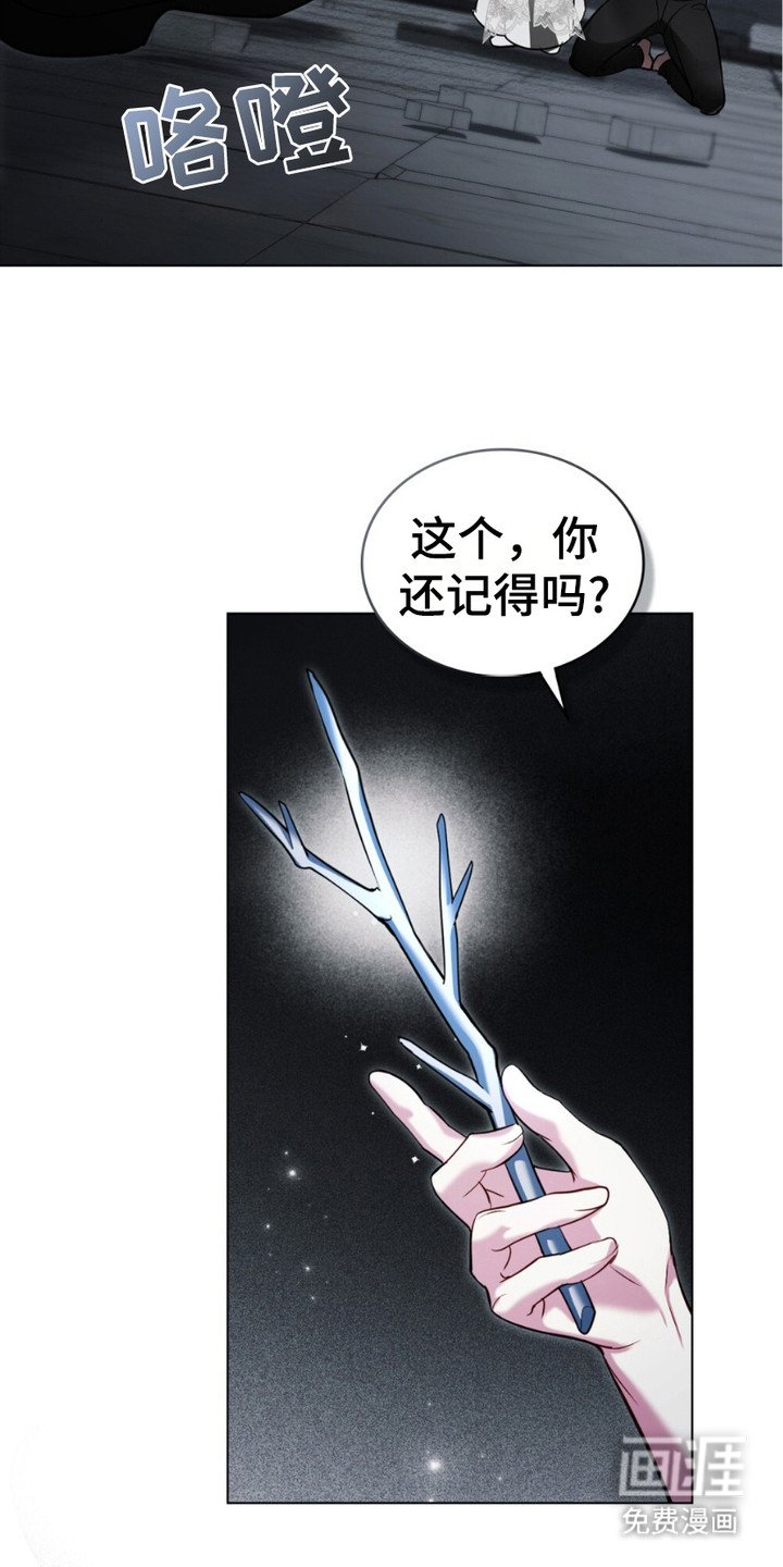 第6章：血腥味