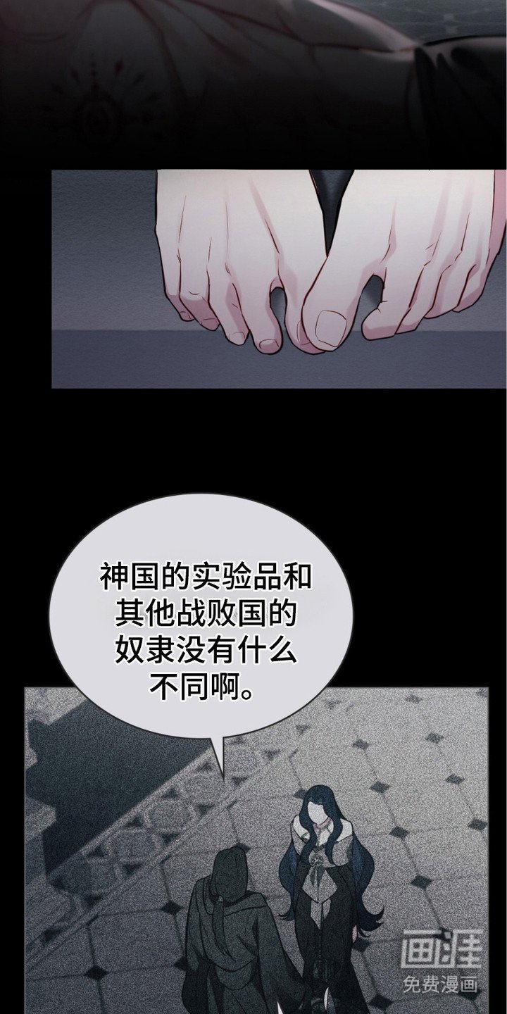 第7章：和解