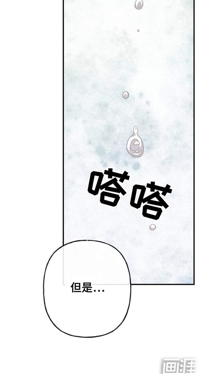 第11章：道歉