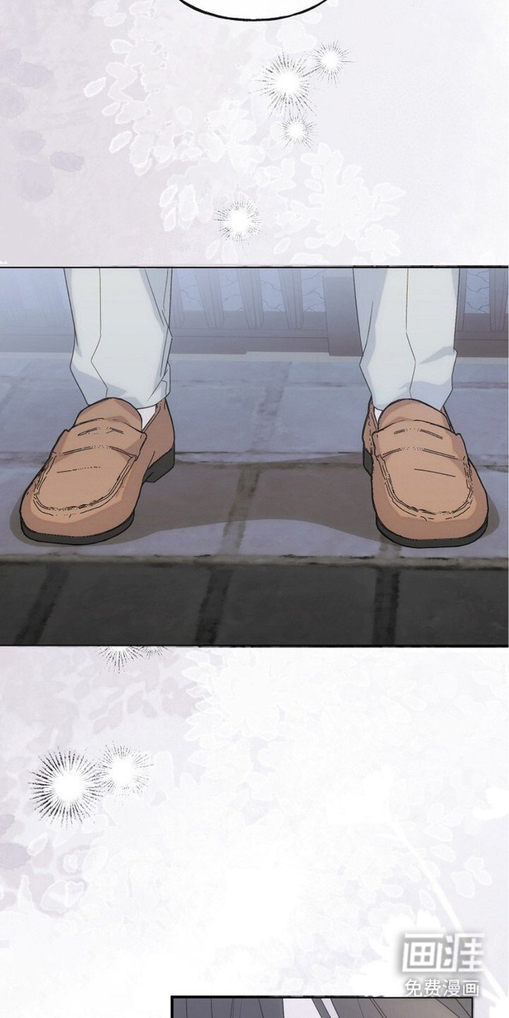 第11章：道歉
