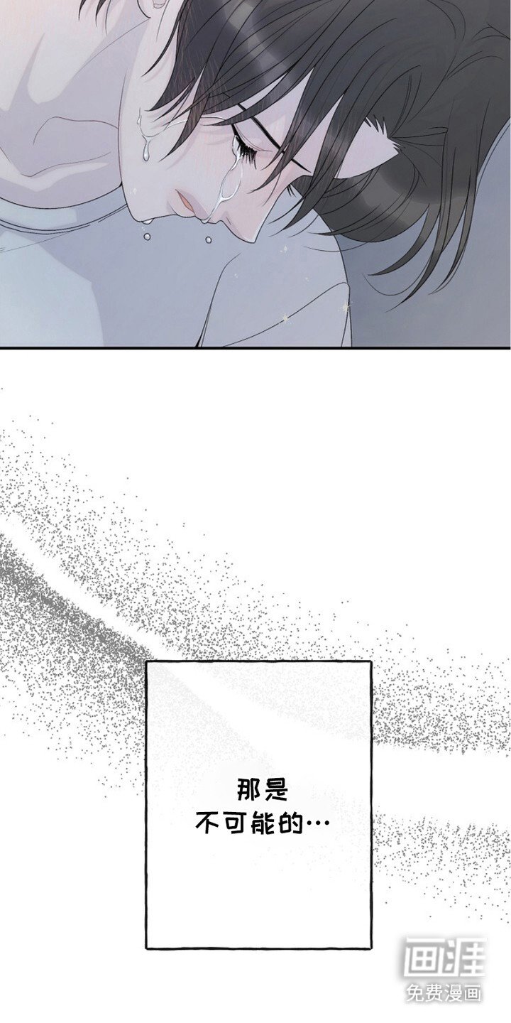 第11章：道歉