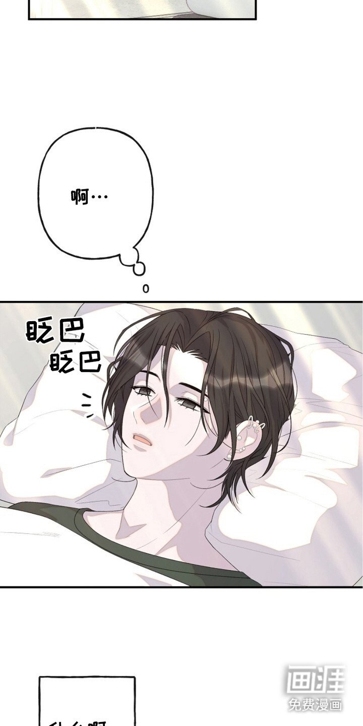 第11章：道歉