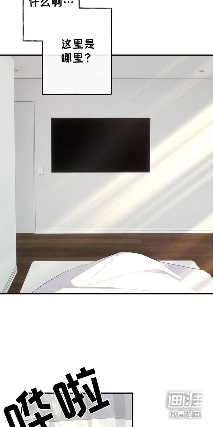 第11章：道歉