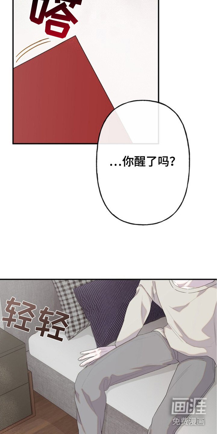 第11章：道歉