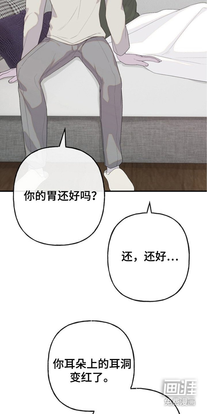 第11章：道歉