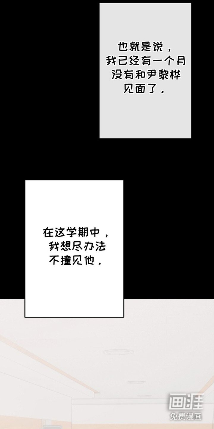 第14章：转移注意力