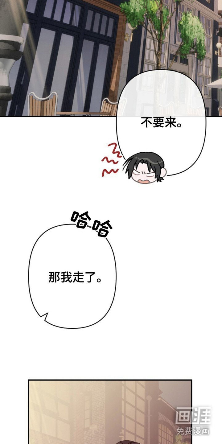 第17章：明知故问