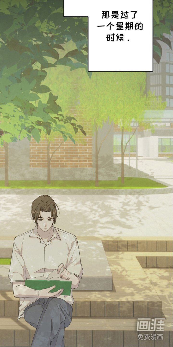 第17章：明知故问