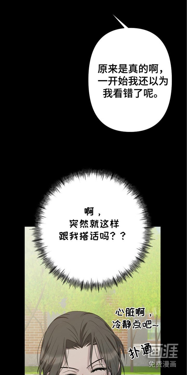 第17章：明知故问