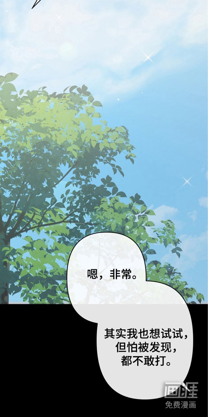 第17章：明知故问