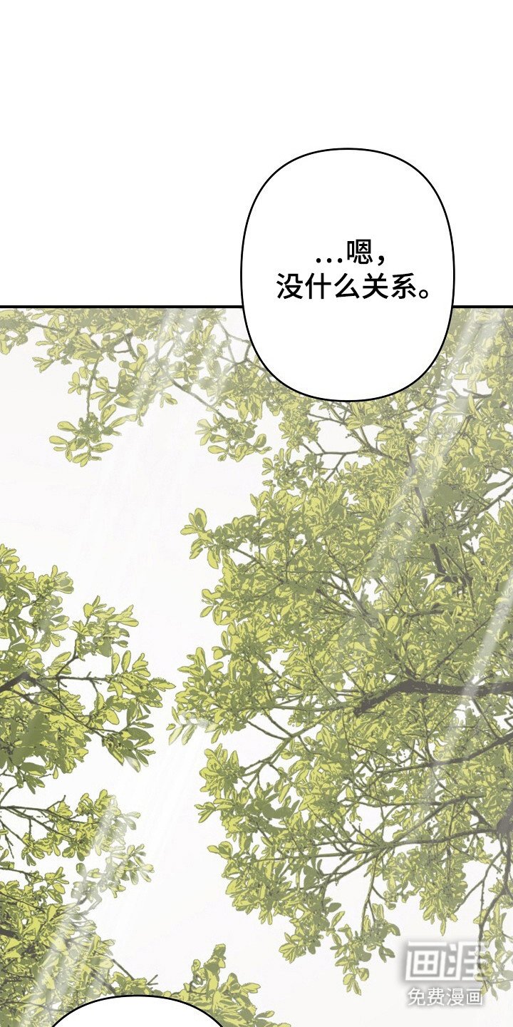 第31章：标准控制