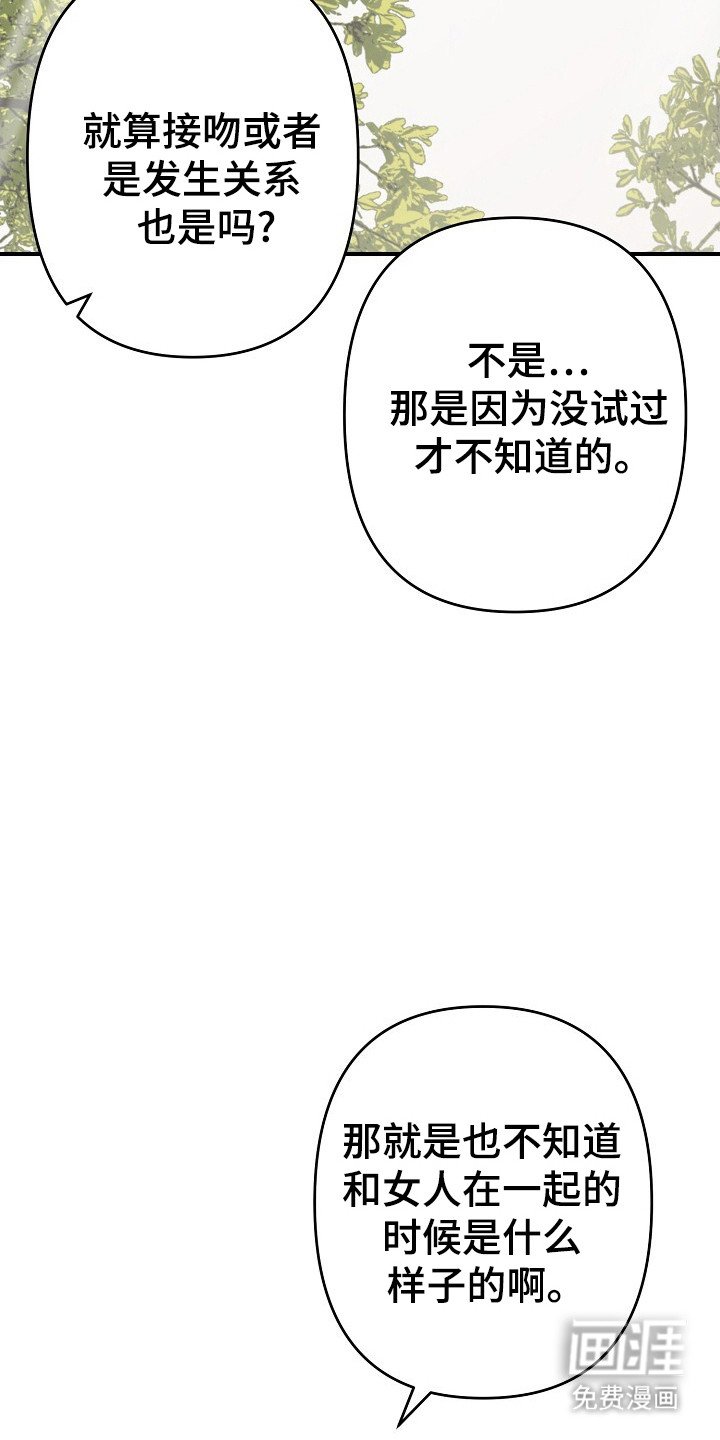 第31章：标准控制