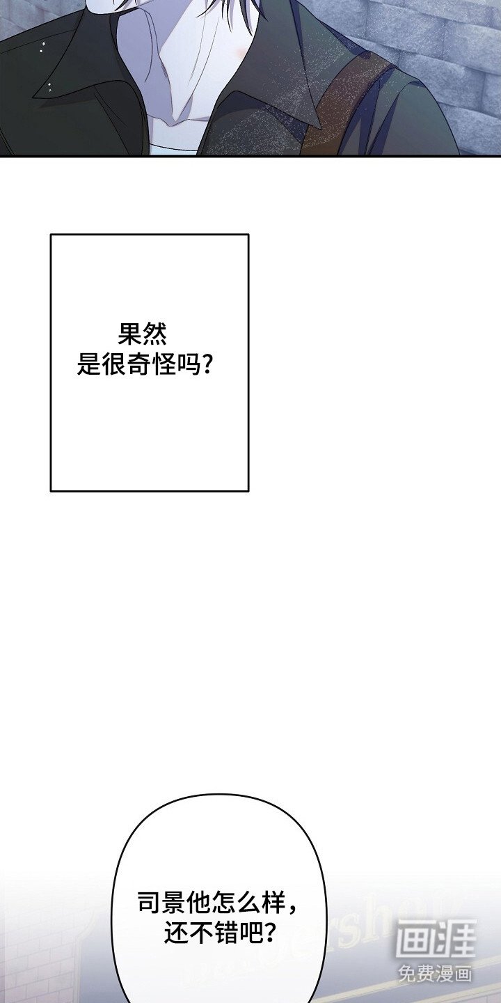 第37章：出现