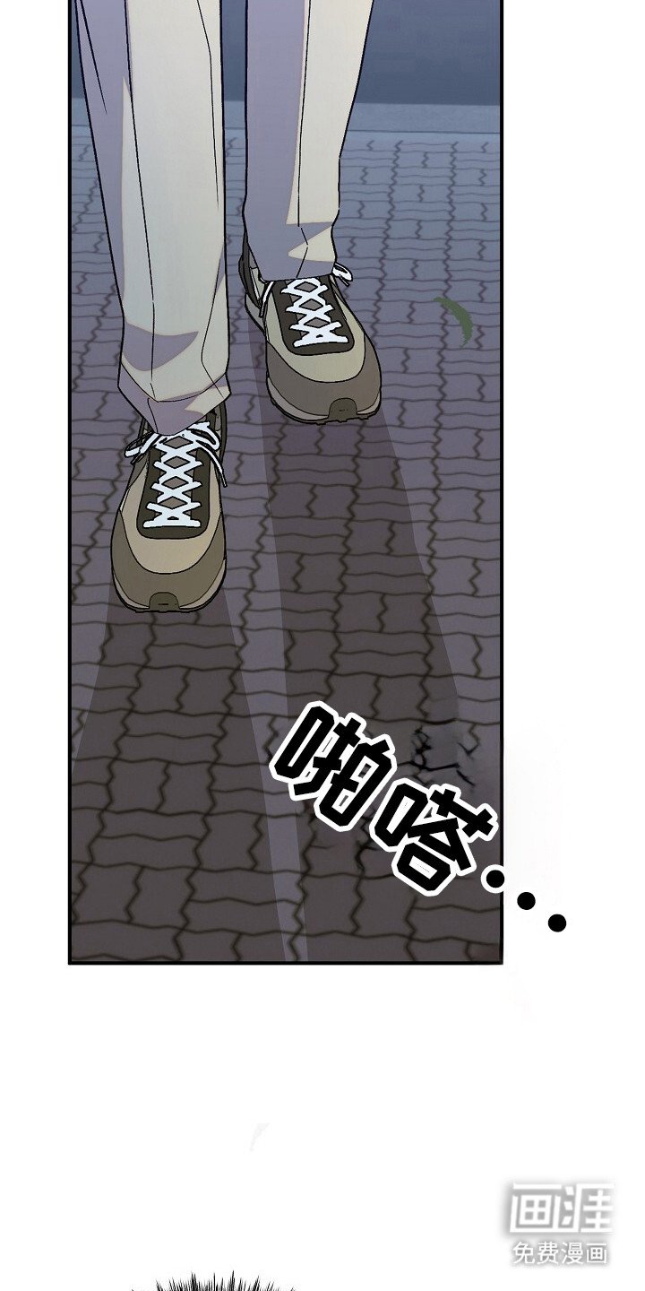 第37章：出现