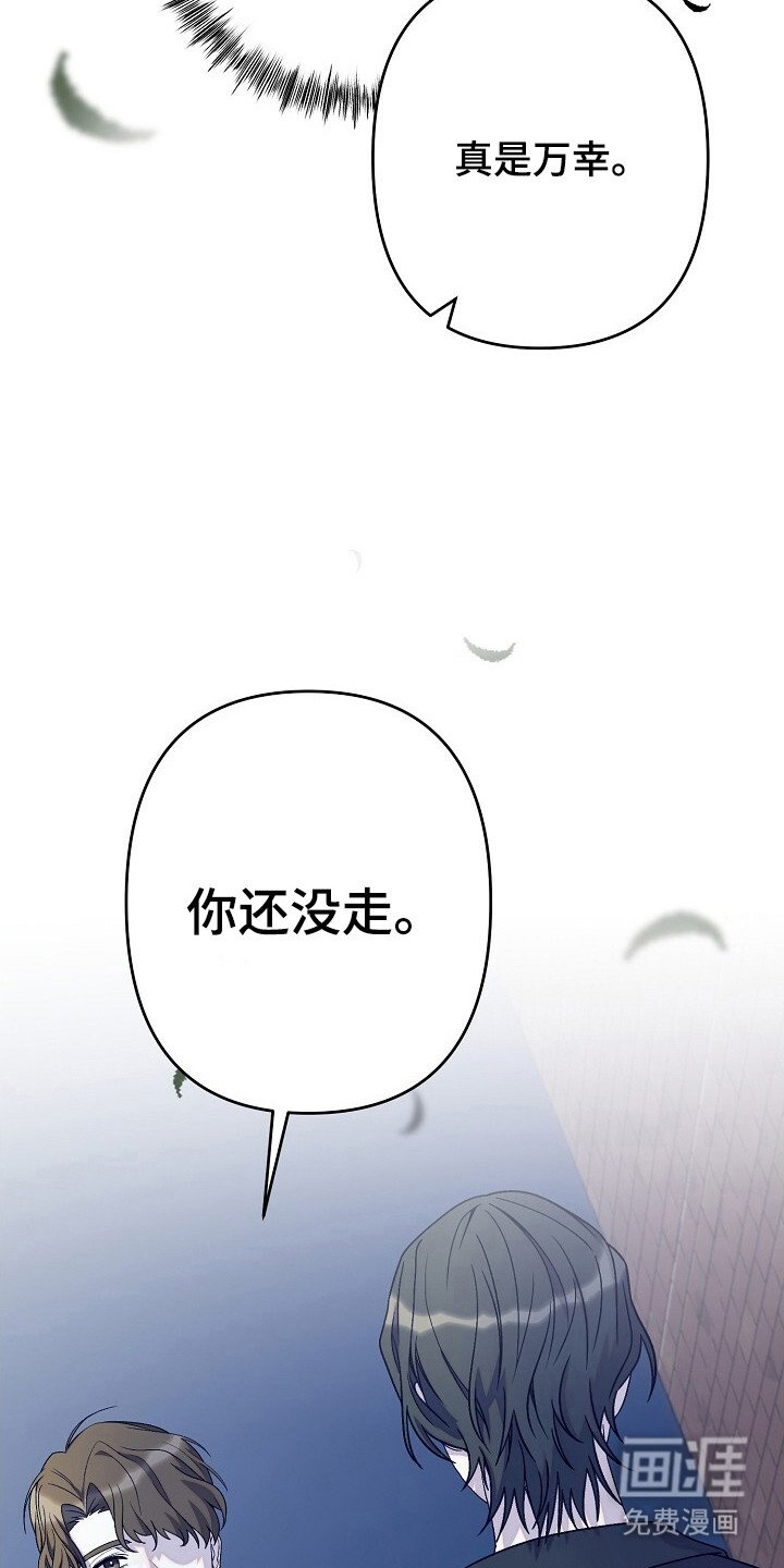 第37章：出现