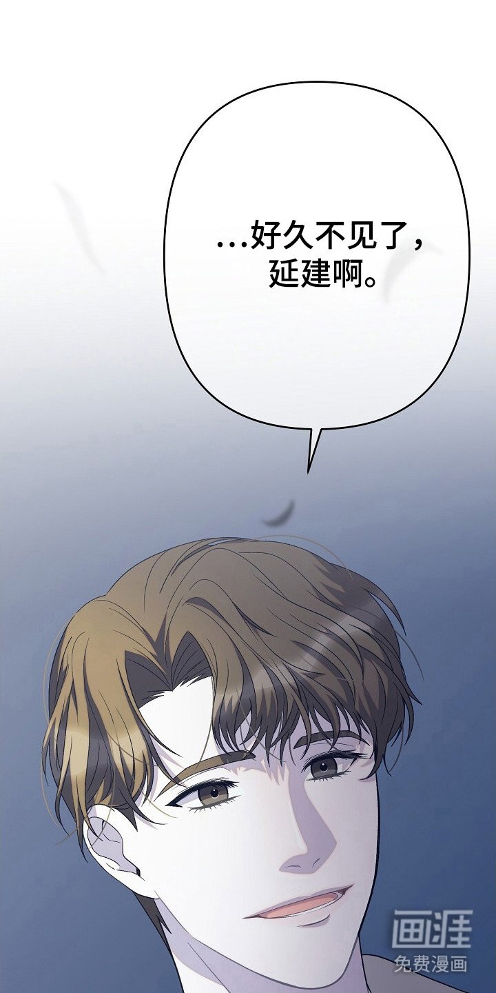 第37章：出现