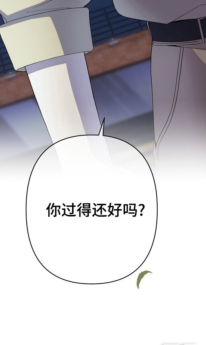 第37章：出现