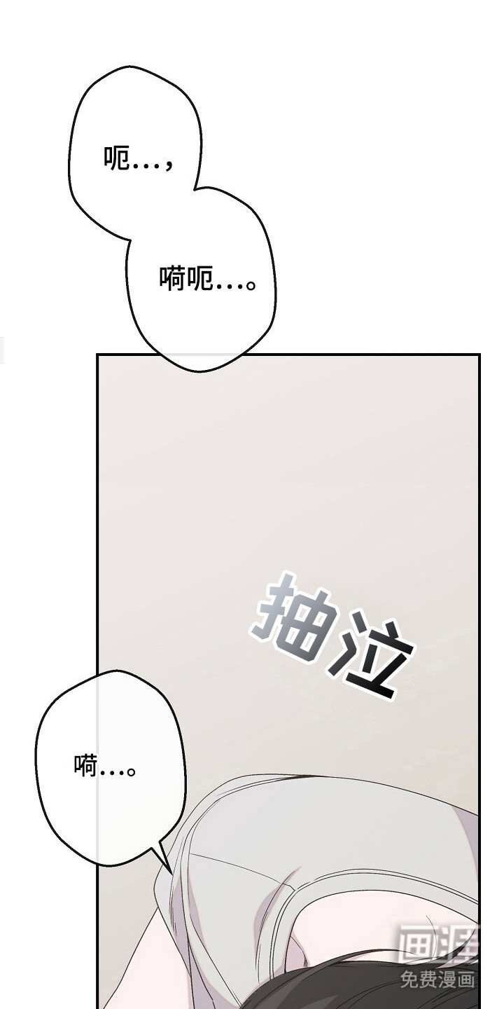 第41章：动了真情