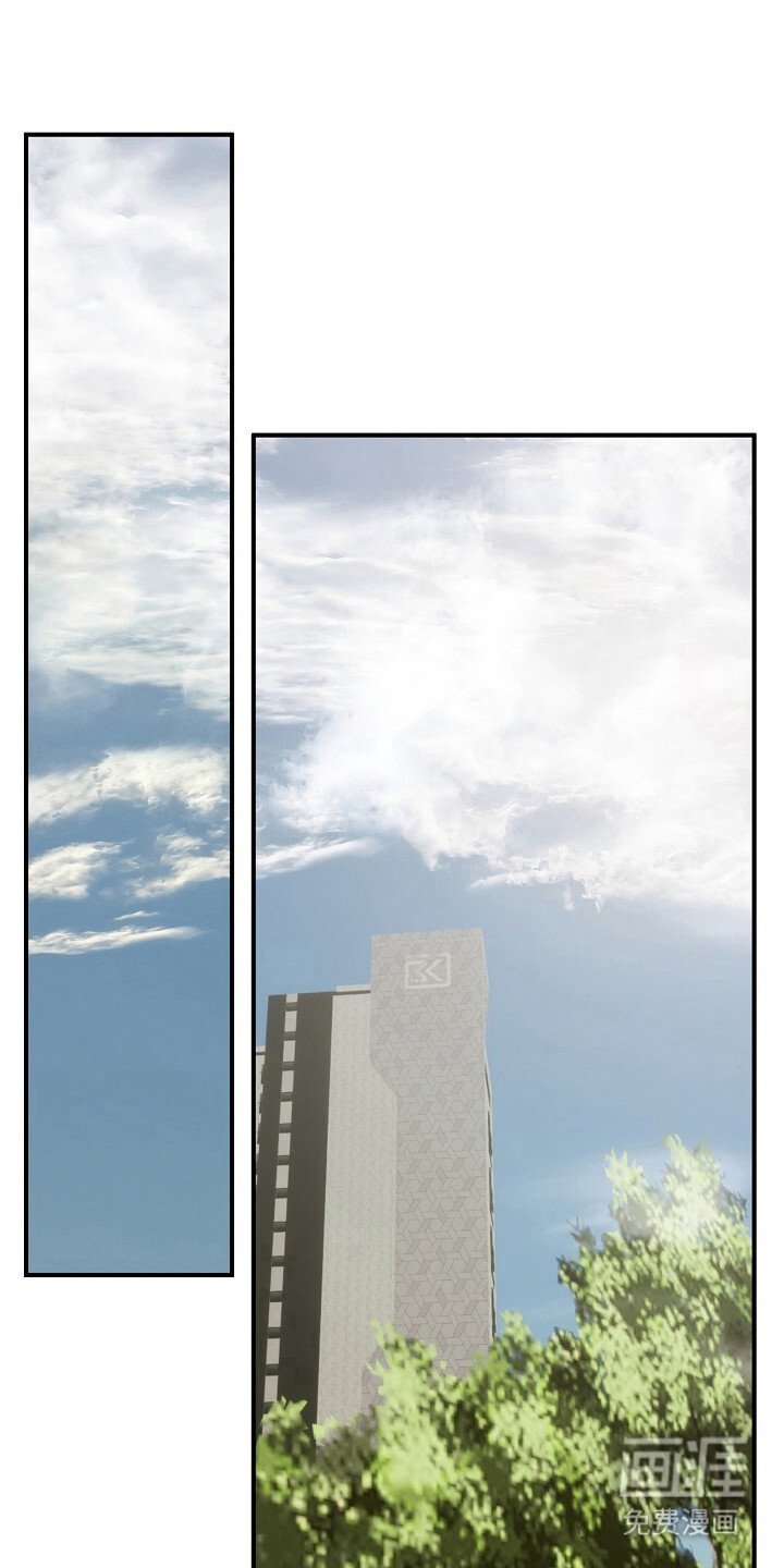 第41章：动了真情