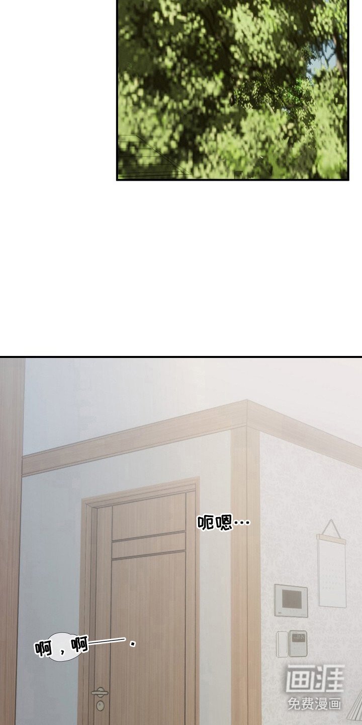 第41章：动了真情