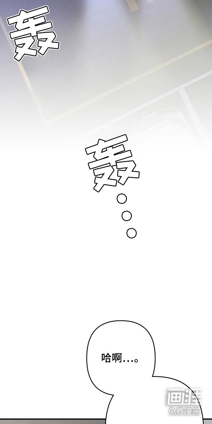 第41章：动了真情