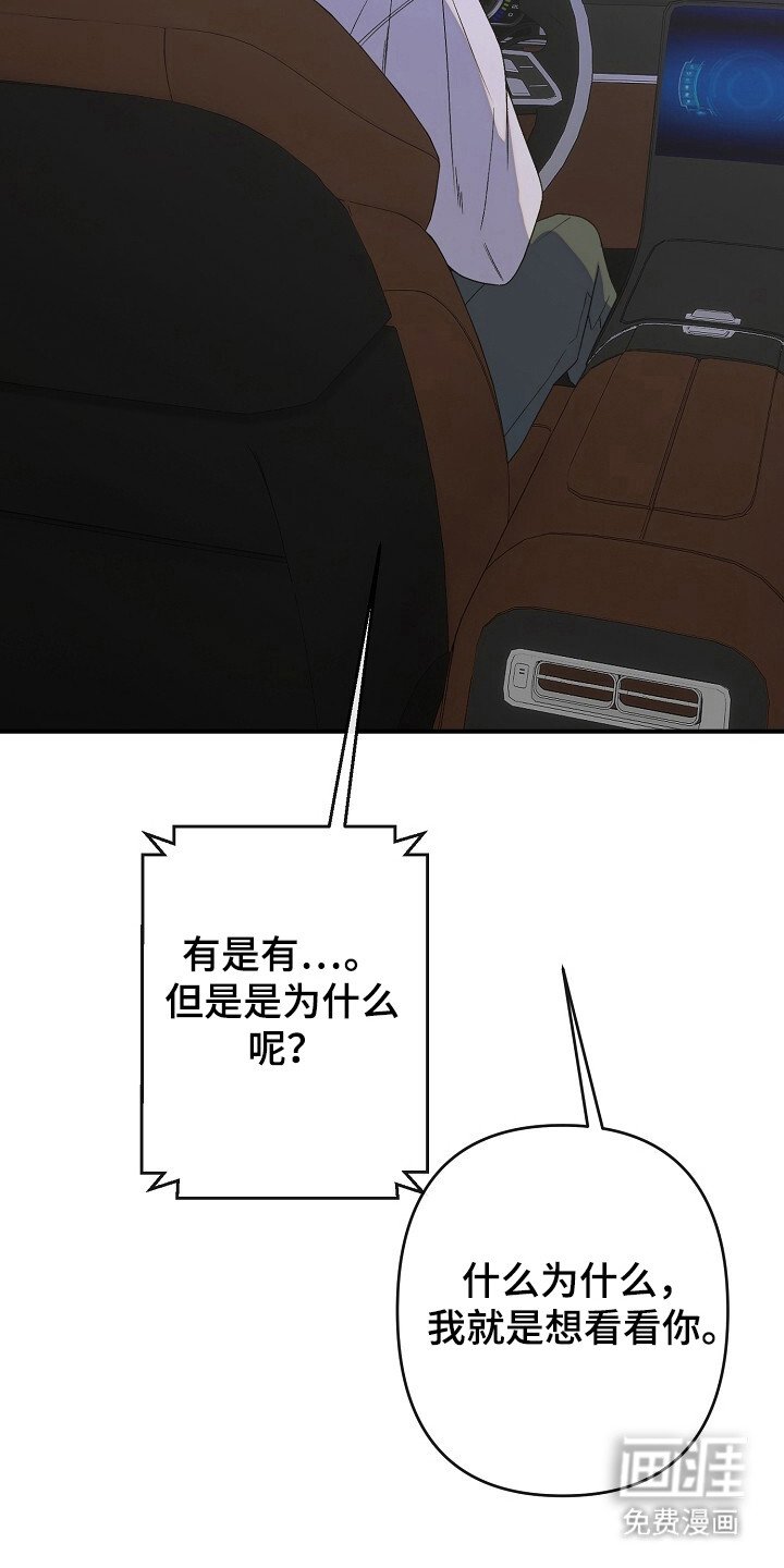 第42章：感情欲坠
