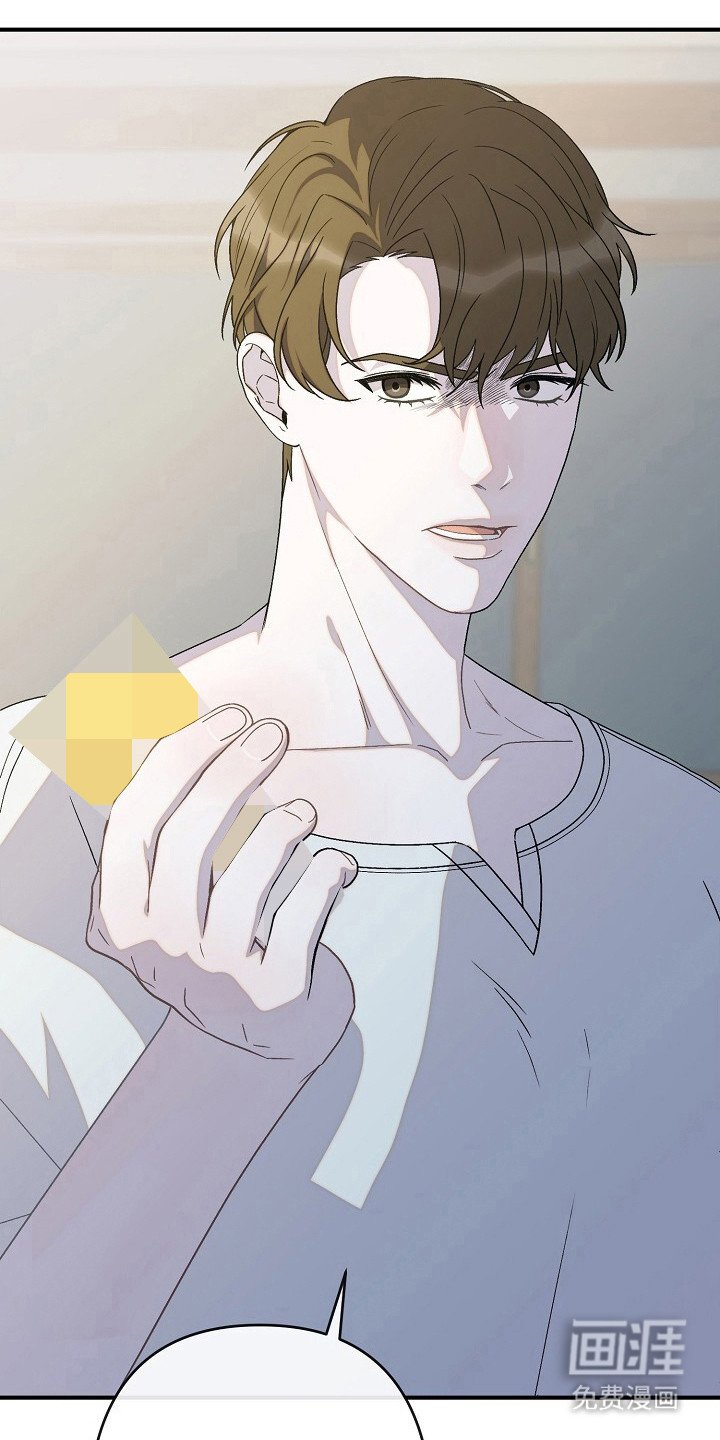 第42章：感情欲坠