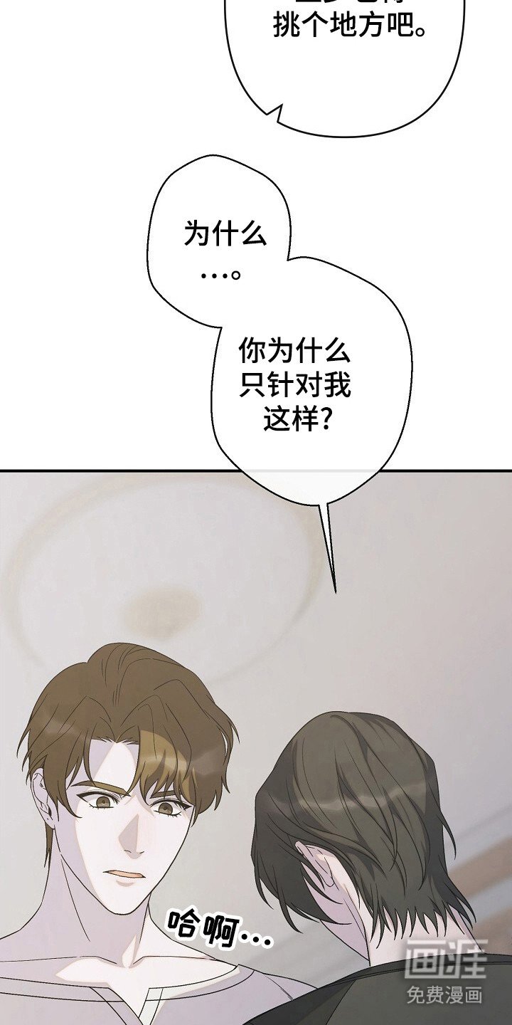 第42章：感情欲坠