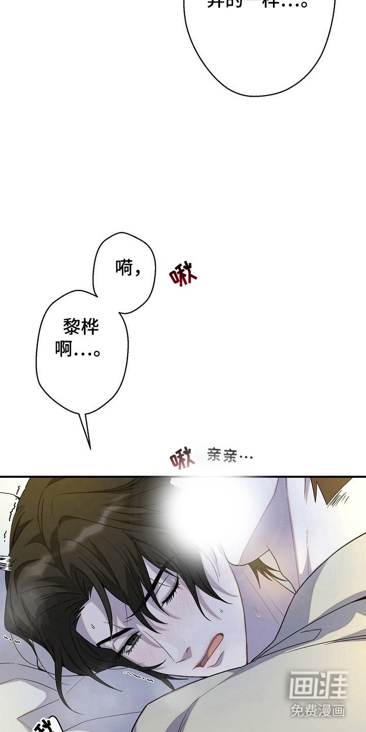 第45章：命令行动