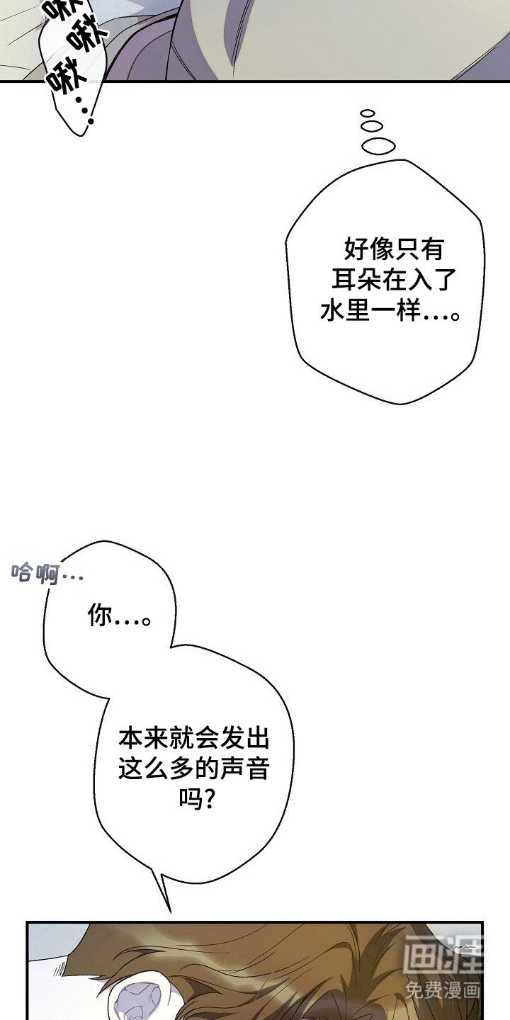 第45章：命令行动