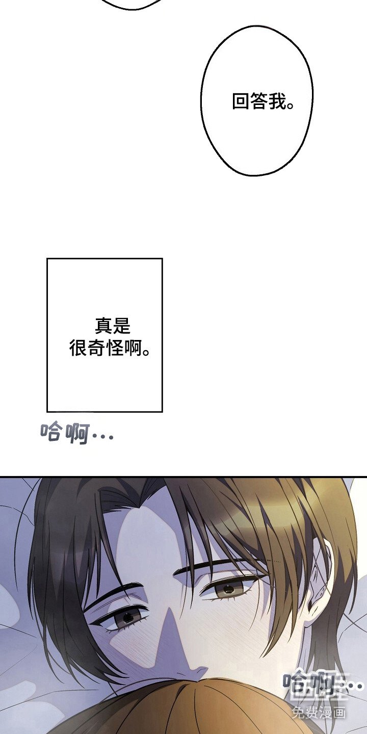 第45章：命令行动