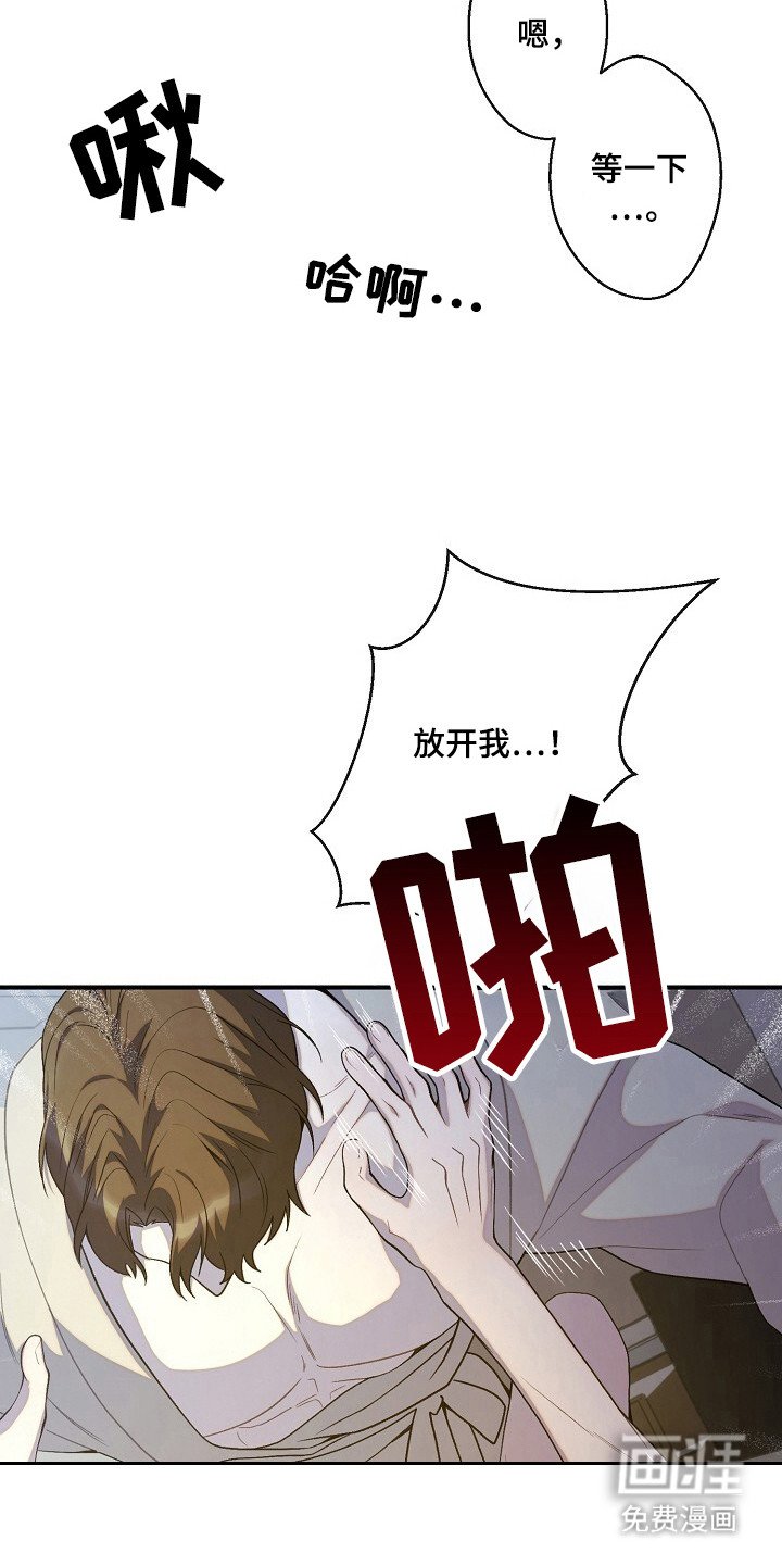 第45章：命令行动