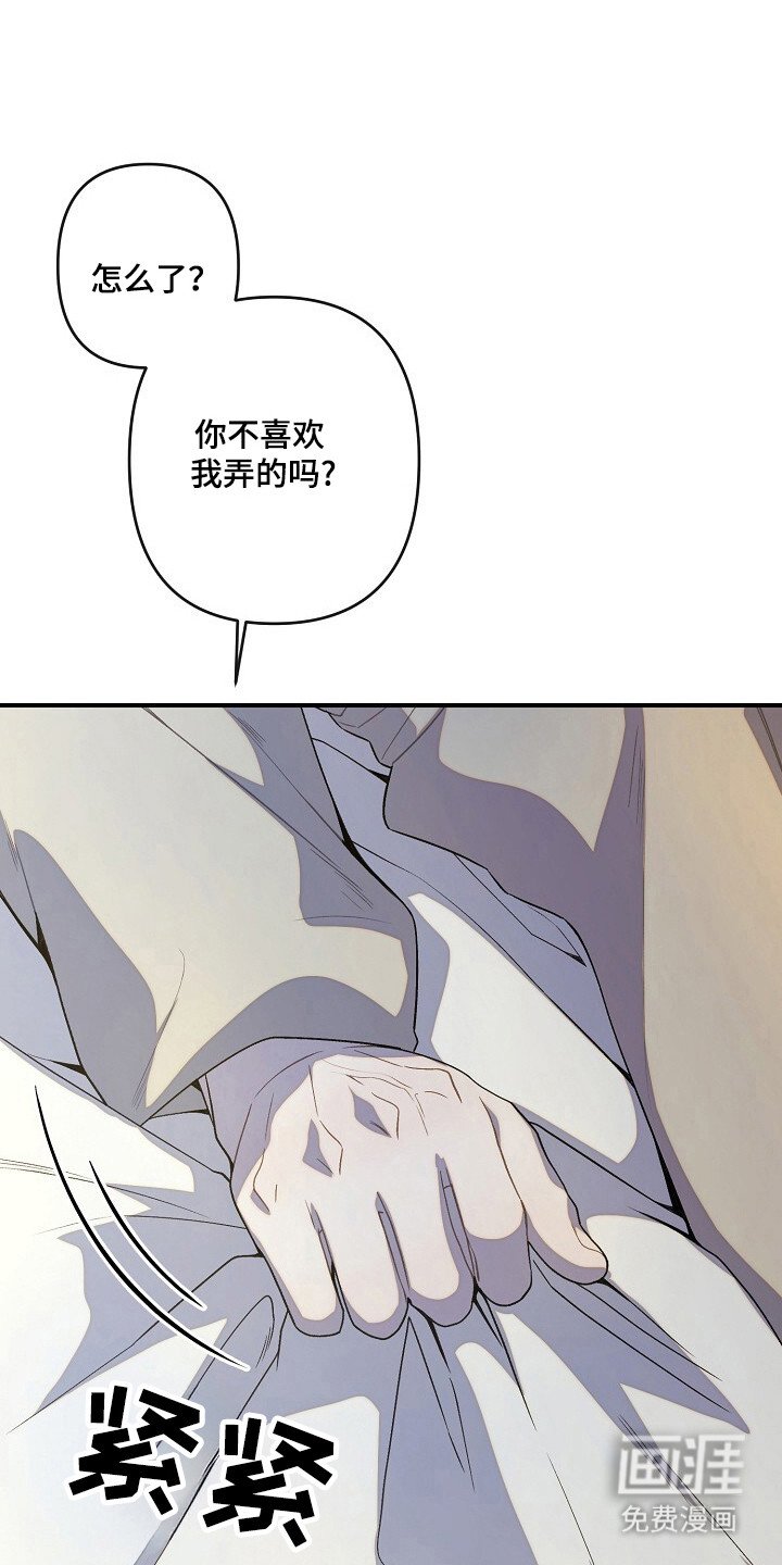 第45章：命令行动