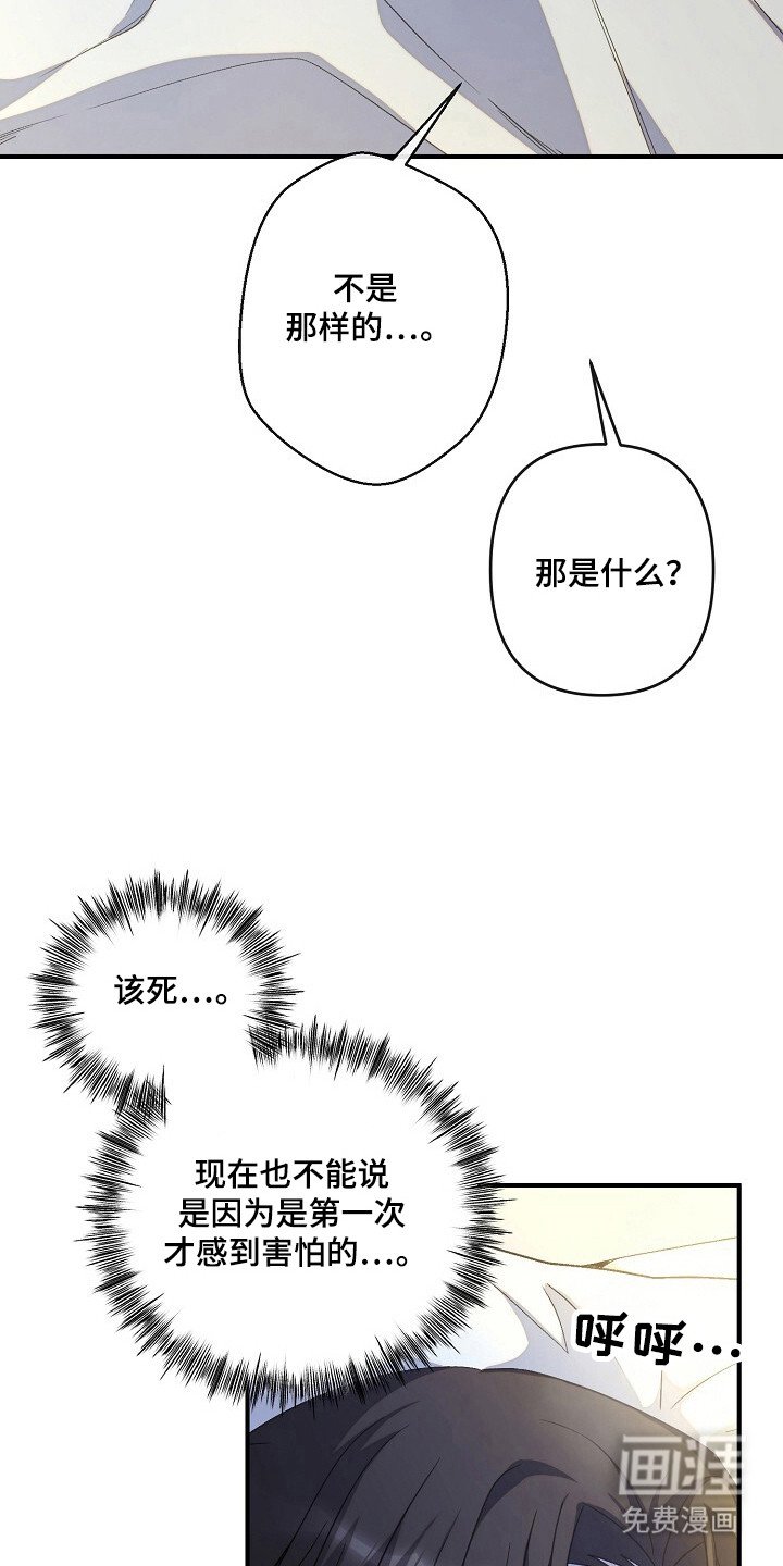 第45章：命令行动