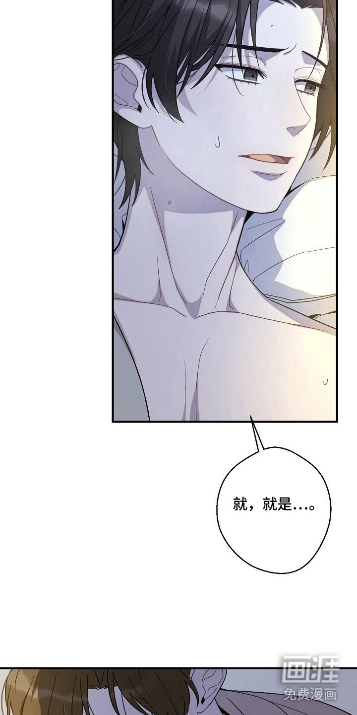 第45章：命令行动