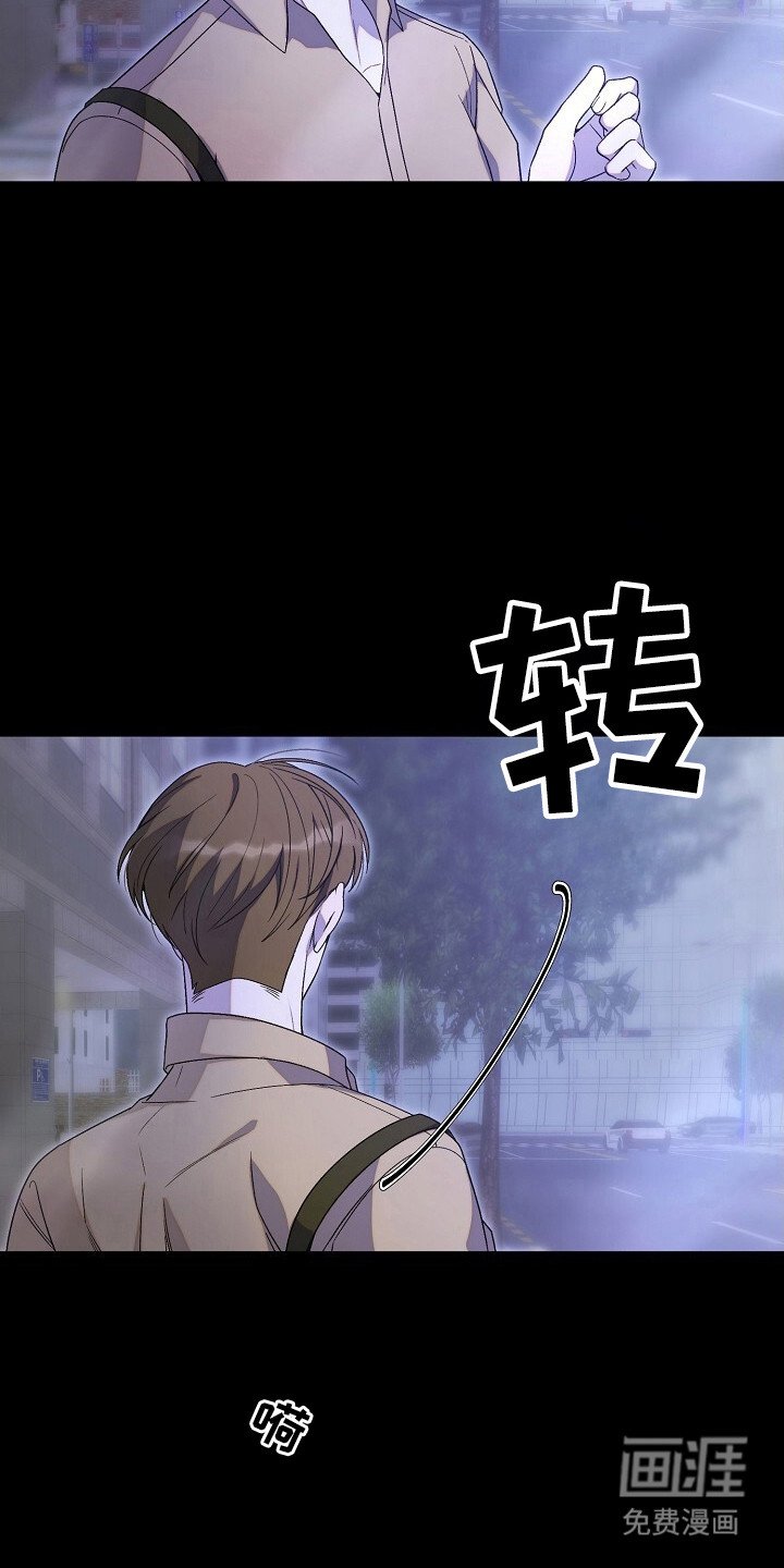 第46章：安排行动
