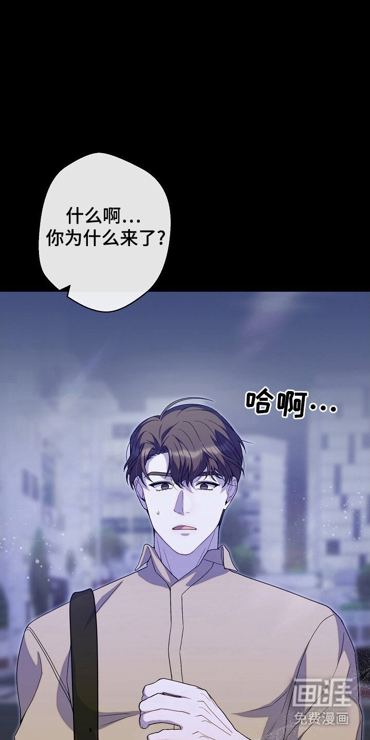 第46章：安排行动