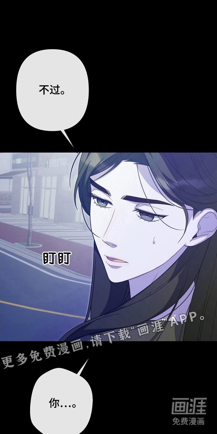 第46章：安排行动