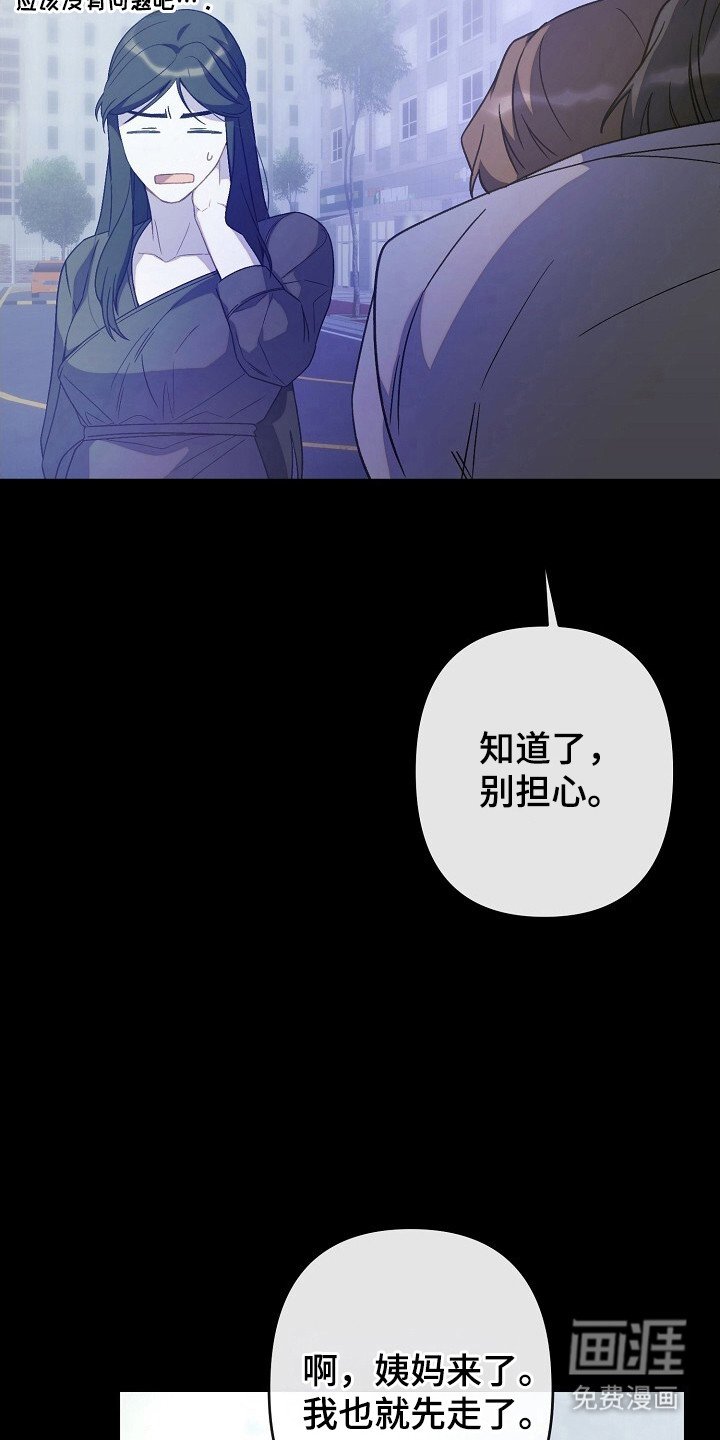 第46章：安排行动