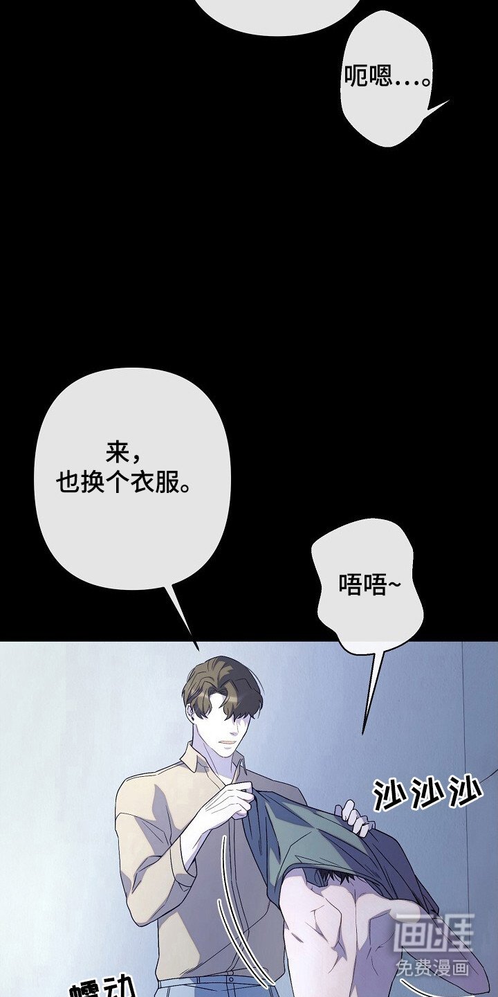 第46章：安排行动
