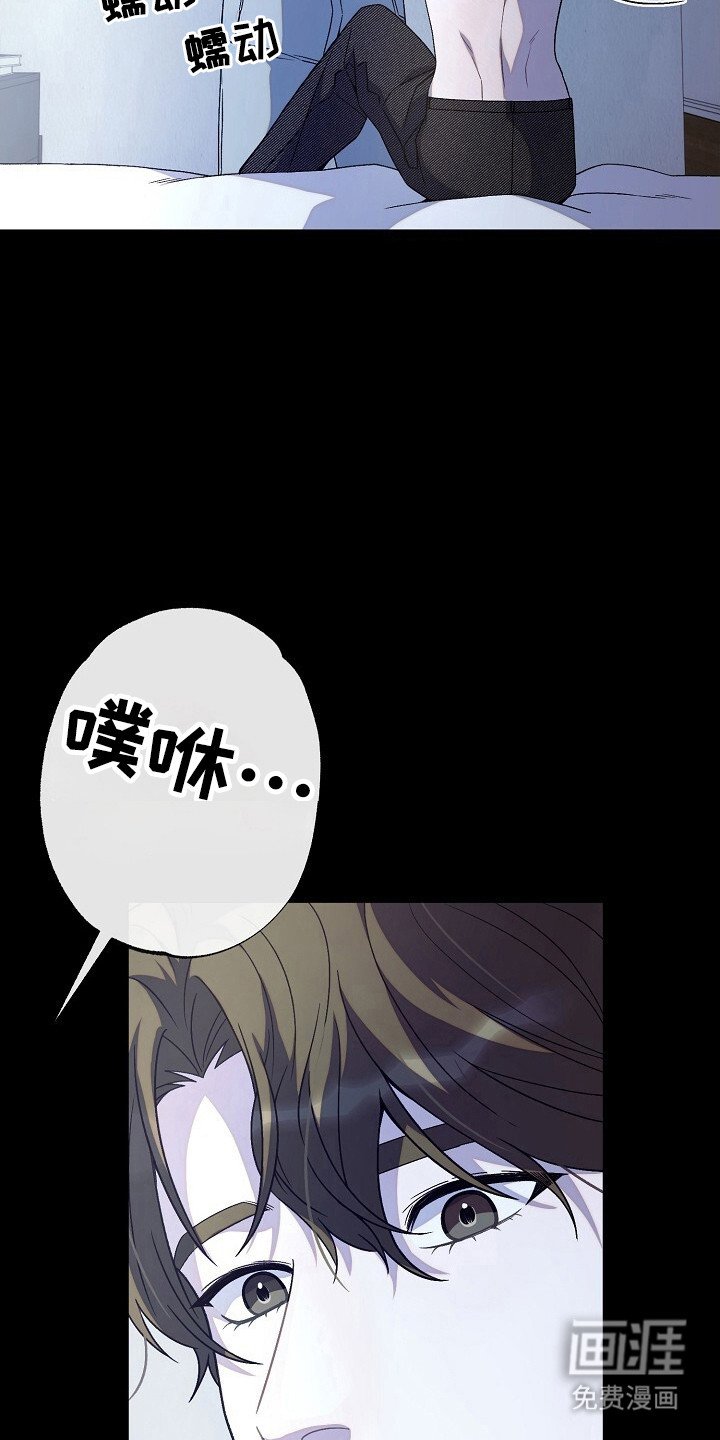 第46章：安排行动