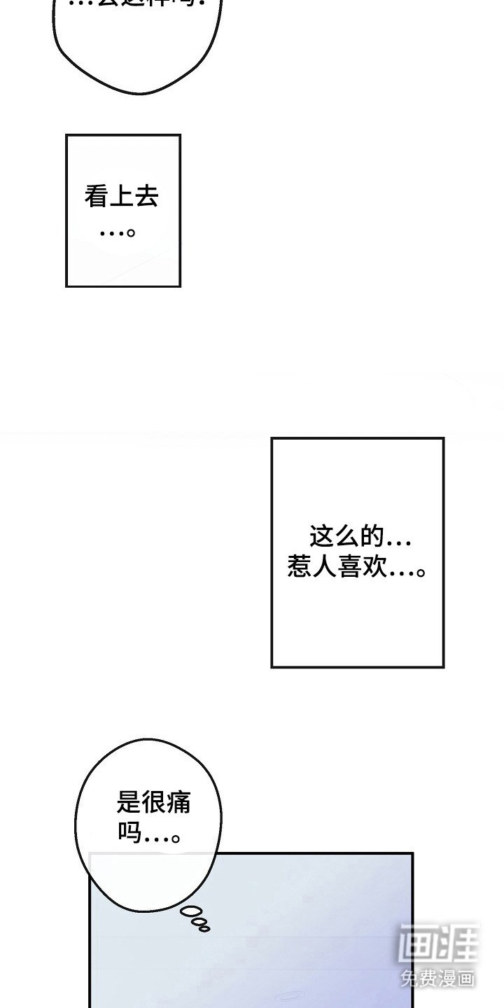 第56章：惹人疼爱