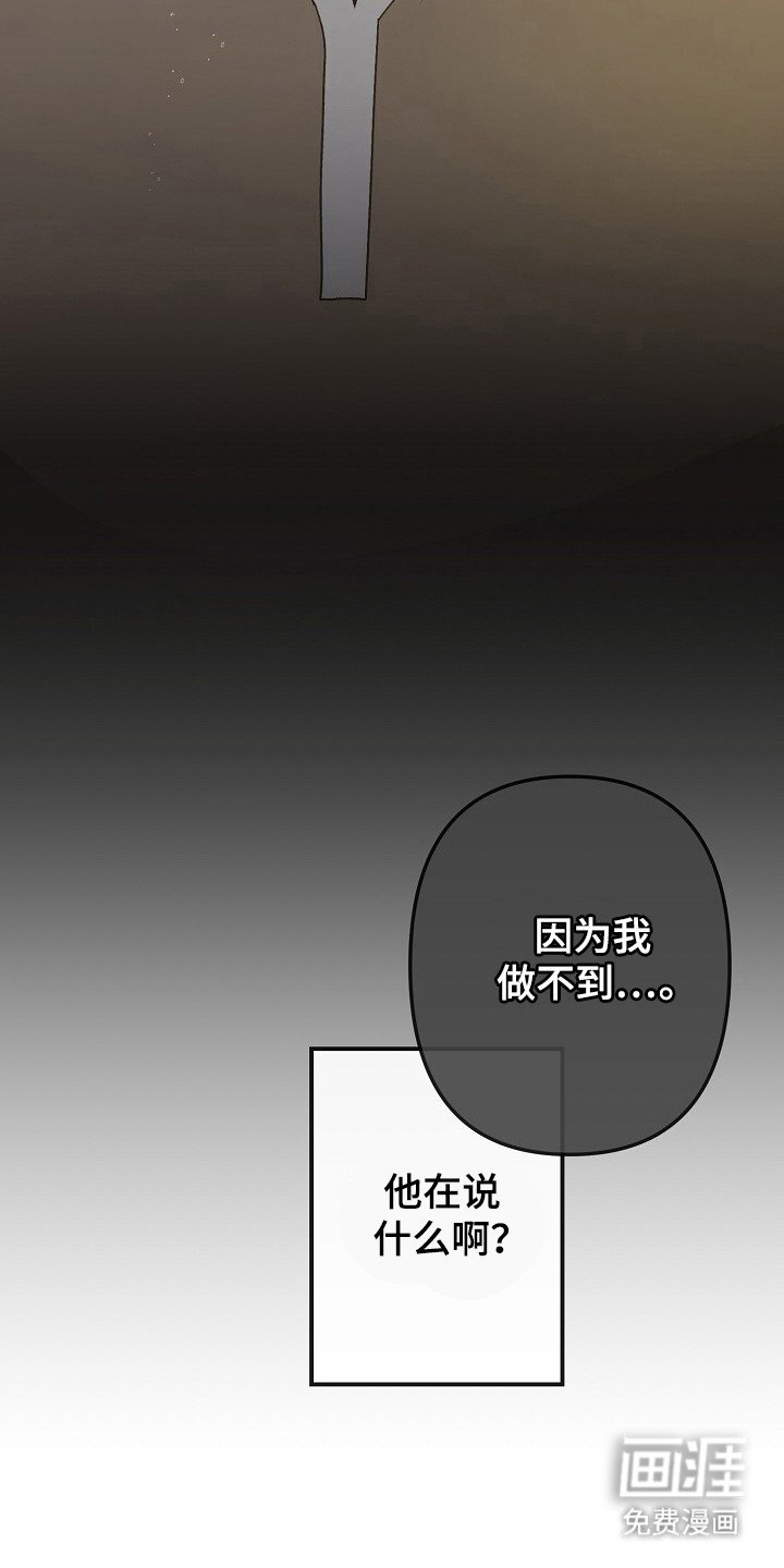 第58章：一直喜欢你