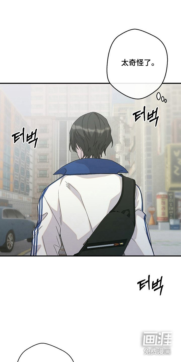 第60章：迷惑