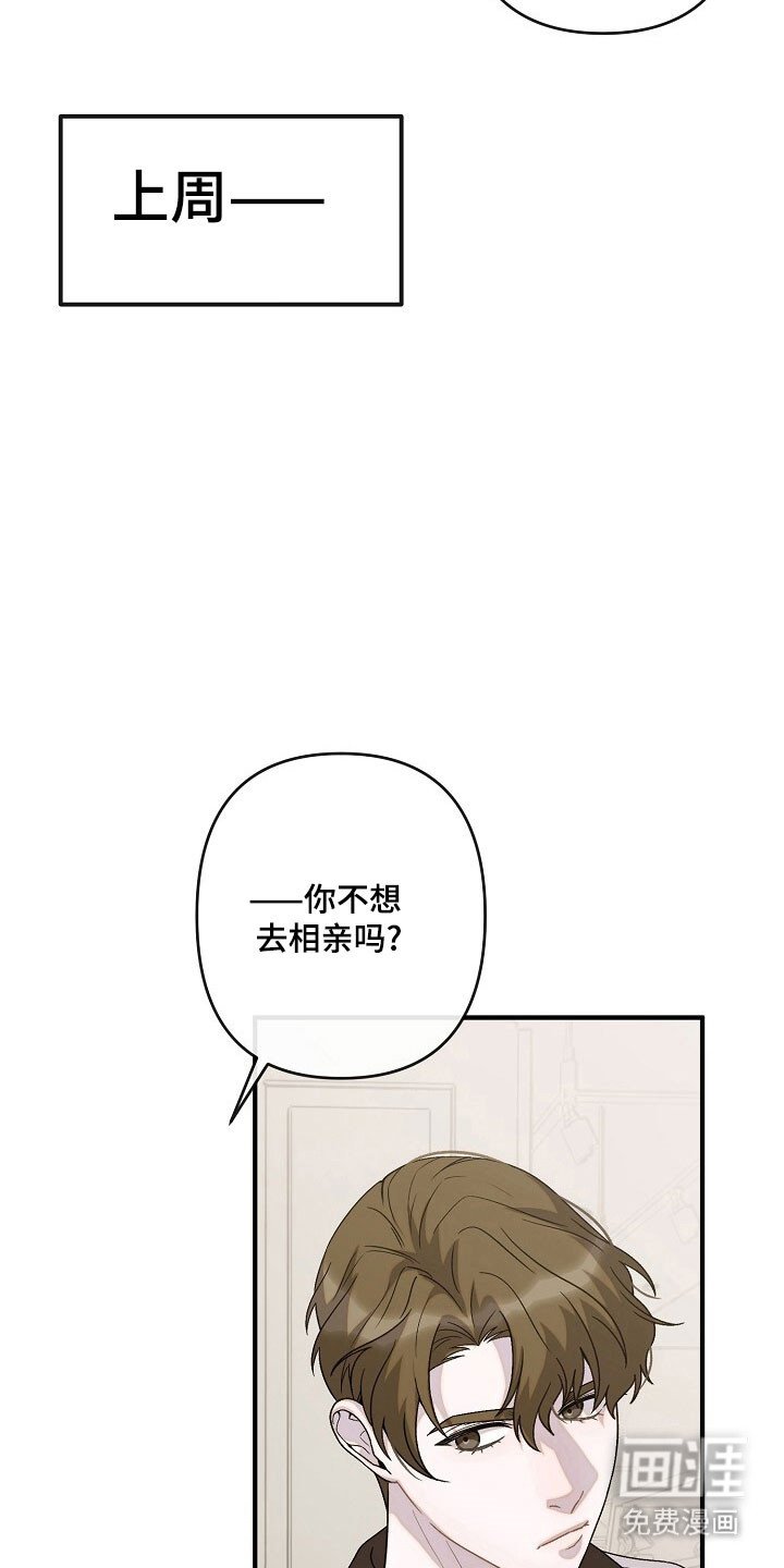 第61章：特别相亲