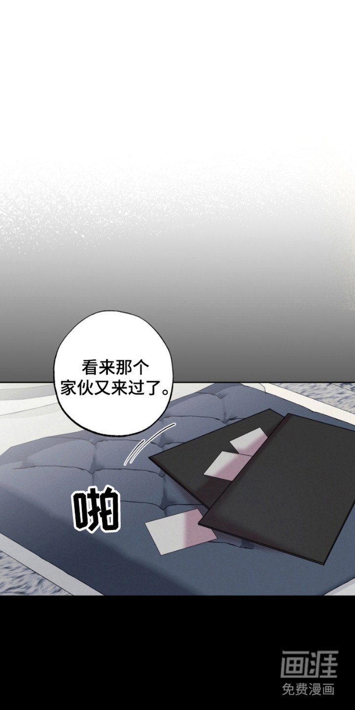 第11章：很有趣