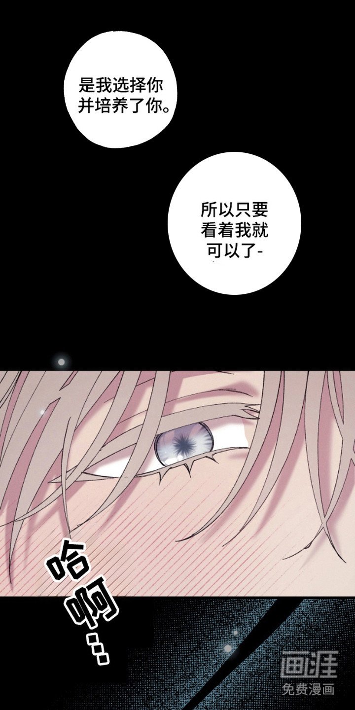 第11章：很有趣